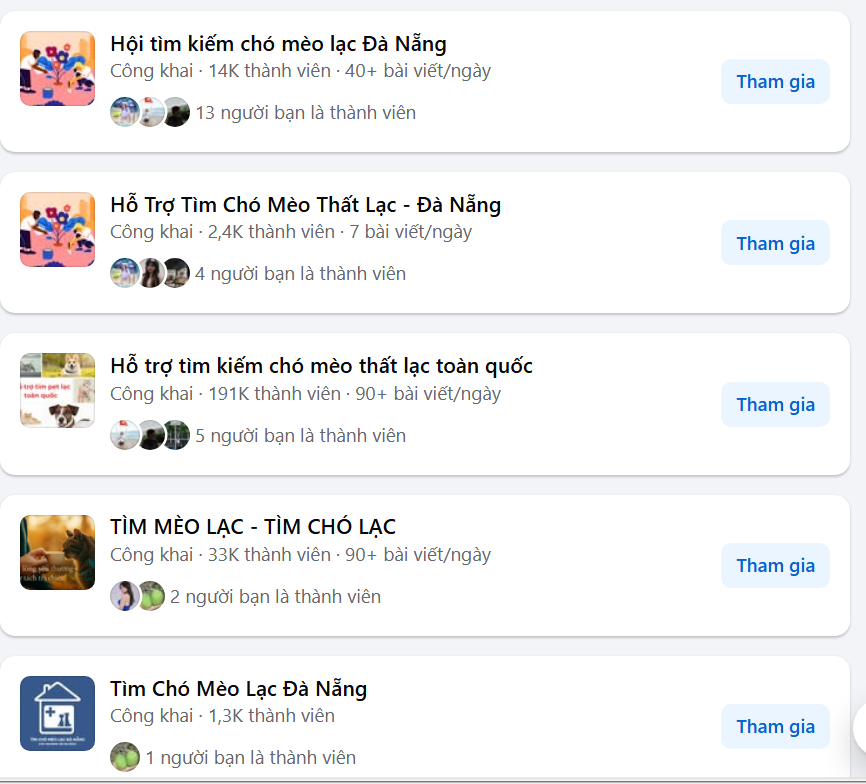 Tìm mèo lạc bằng cách gửi vào hội nhóm