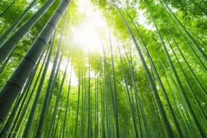 Tăng hiệu suất công việc với những thói quen nhỏ (nhưng cực kỳ hiệu quả)