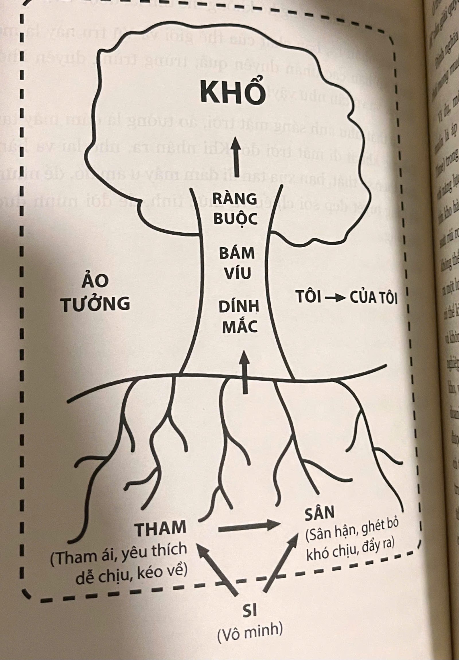 Sơ đồ cây: gốc rễ của khổ