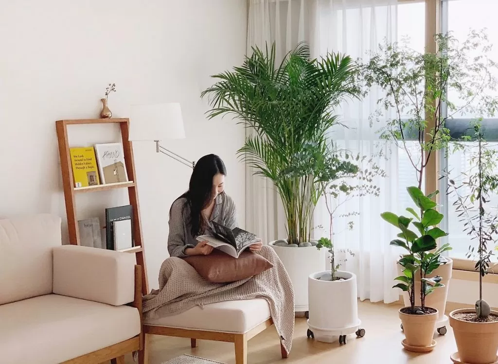 Review và tóm tắt sách Một cuốn sách về Chủ nghĩa tối giản của Chi Nguyễn